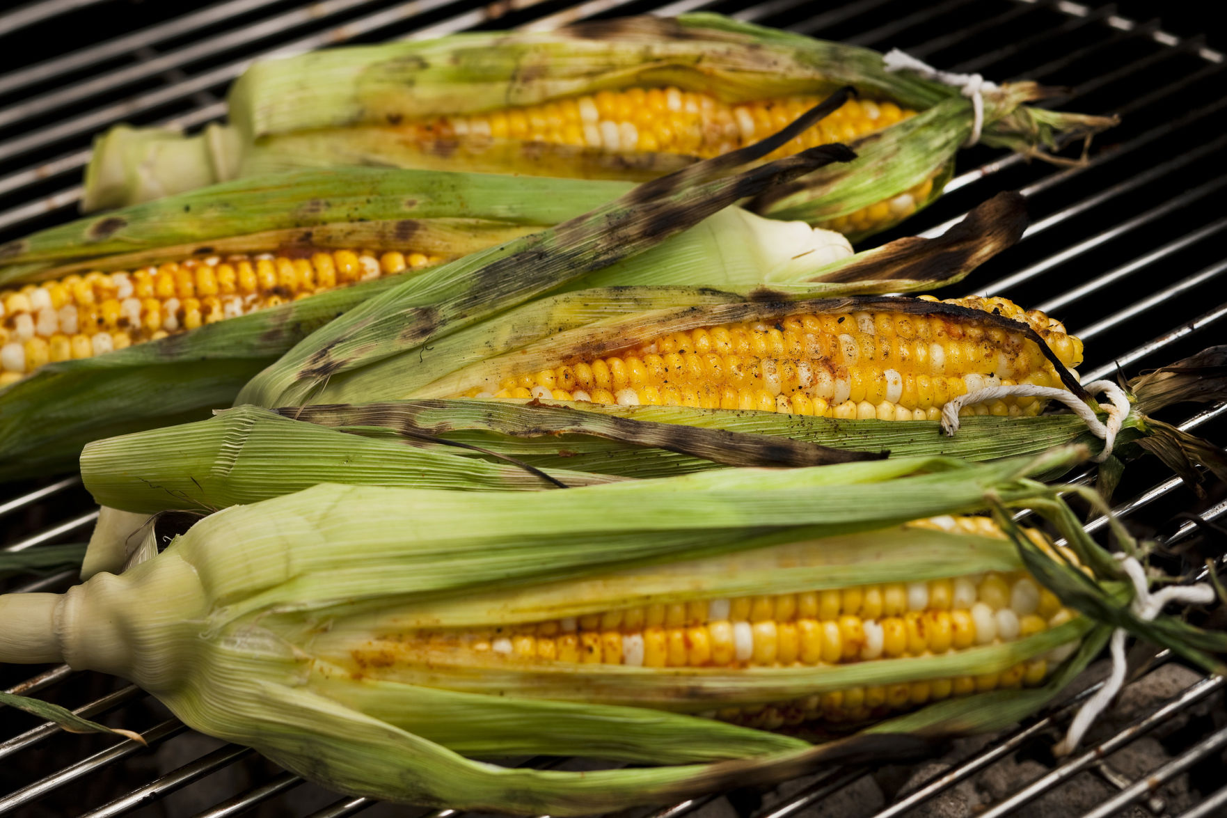 Corn on the cob